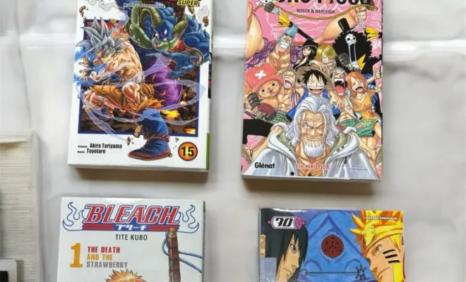 Des mangas à Maisons Laffitte , Maisons-Laffitte, Culture gaming