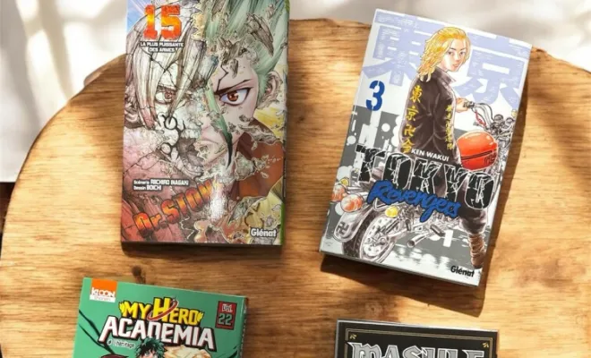 Des mangas à Maisons Laffitte , Maisons-Laffitte, Culture gaming